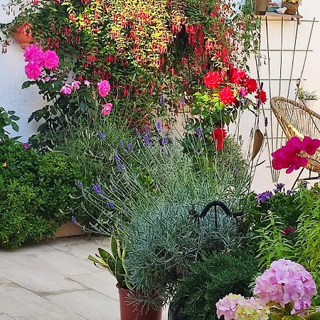 Juan Les Pins Plages Clim Wifi Maison Entiere Antibes Exterior foto