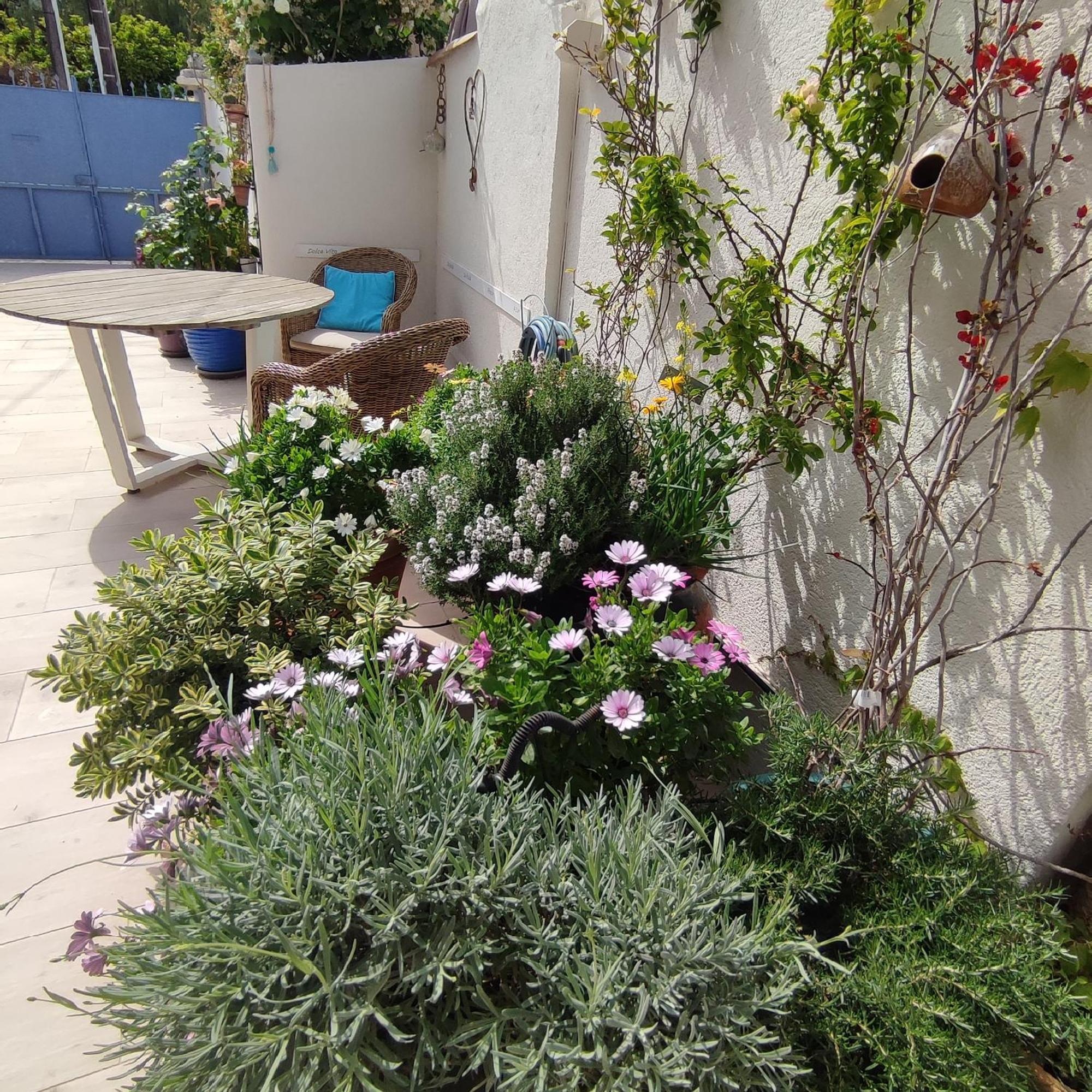 Juan Les Pins Plages Clim Wifi Maison Entiere Antibes Exterior foto